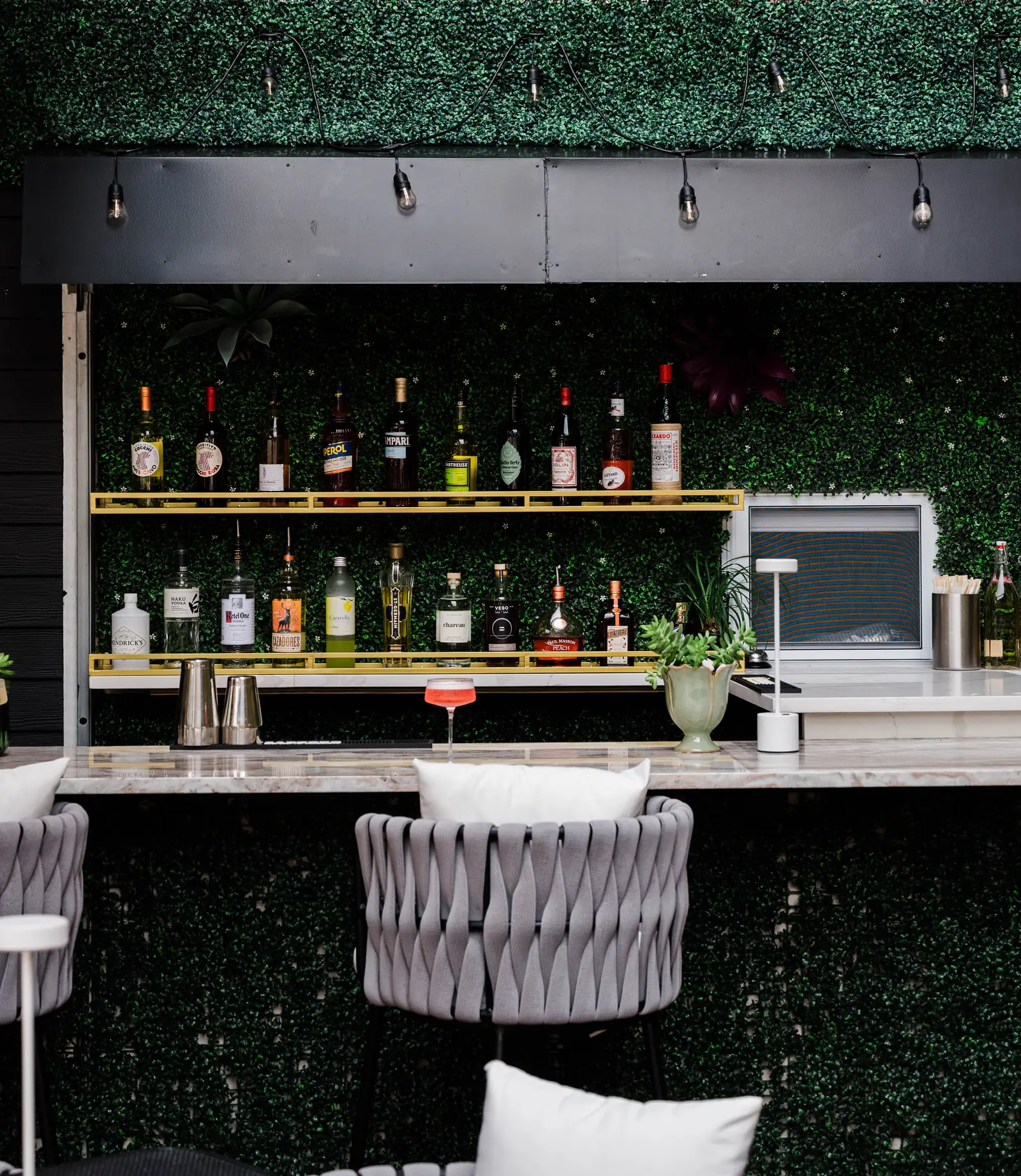 The back bar, gold shelves against the living green wall