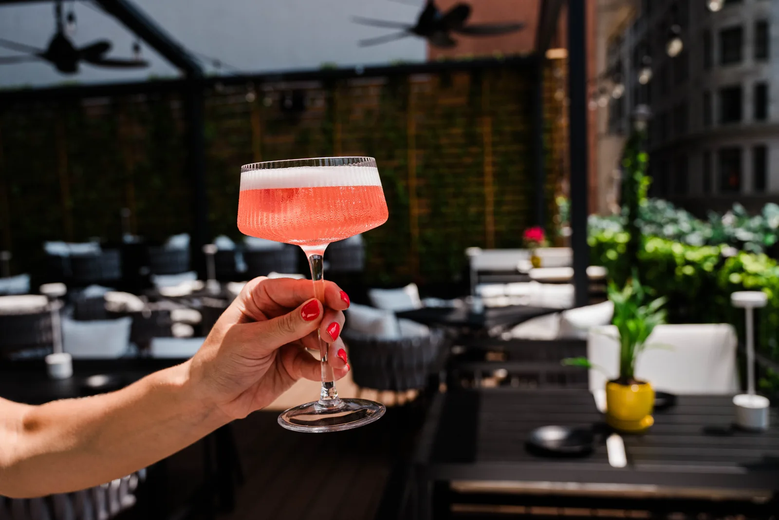 A pink coupe cocktail held up on the rooftop